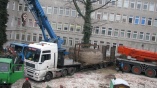Transport drzewa